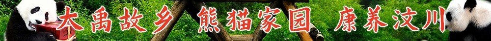 盈盈彩app官网盈盈彩app下载兴起