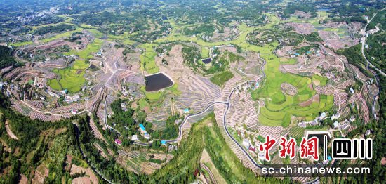 蓬安巨龙合作村脱贫奔康产业园。蓬安县委宣传部供图 盈盈彩app官网最新版下载省级历史文