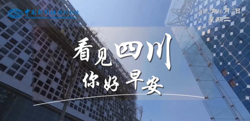 粉白花朵绽放在古寺院落