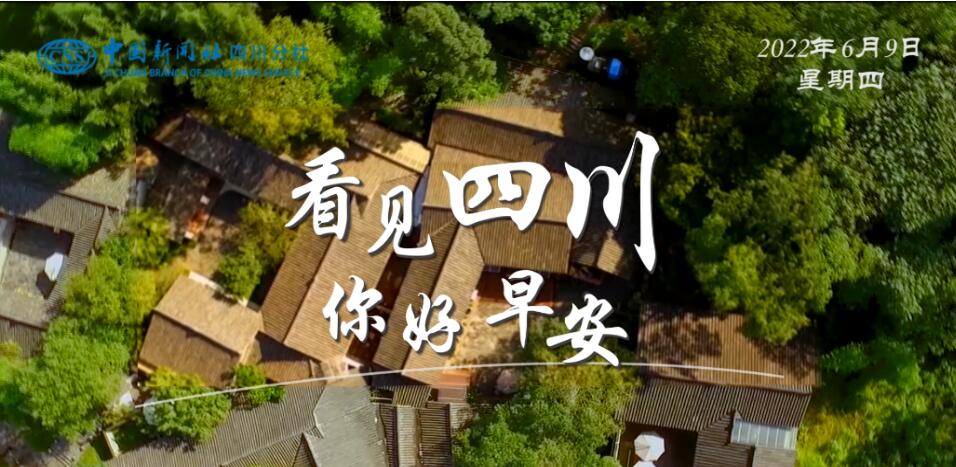 解说雅安市名山区的茶山迎来了最富生机