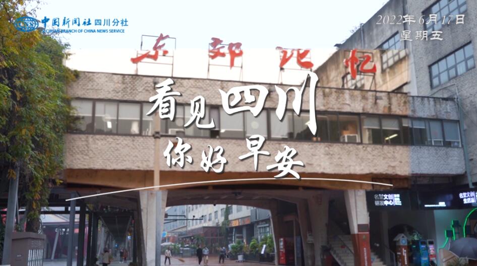 解说乐至县城市主干道的紫叶李花迎春绽