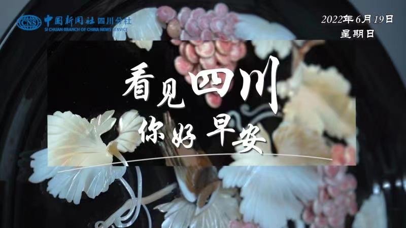 列车与盛放的油菜花构成一幅灵动的春日