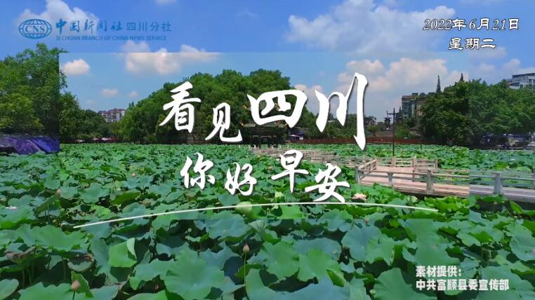 解说自贡灯会开启超长待机