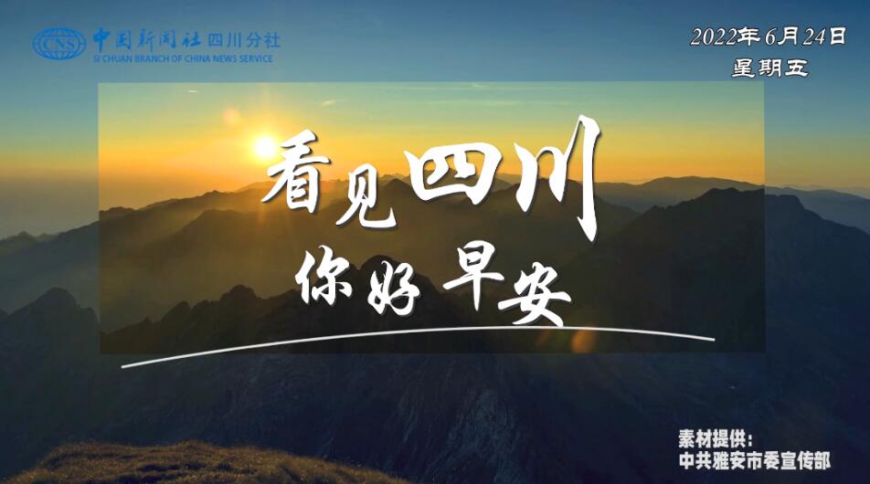 高大的泡桐树缀满钟形花冠