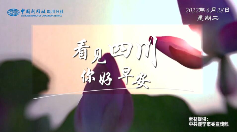 解说平武报恩寺百年玉兰迎来盛花期