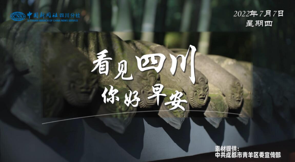 繁花缀满枝头