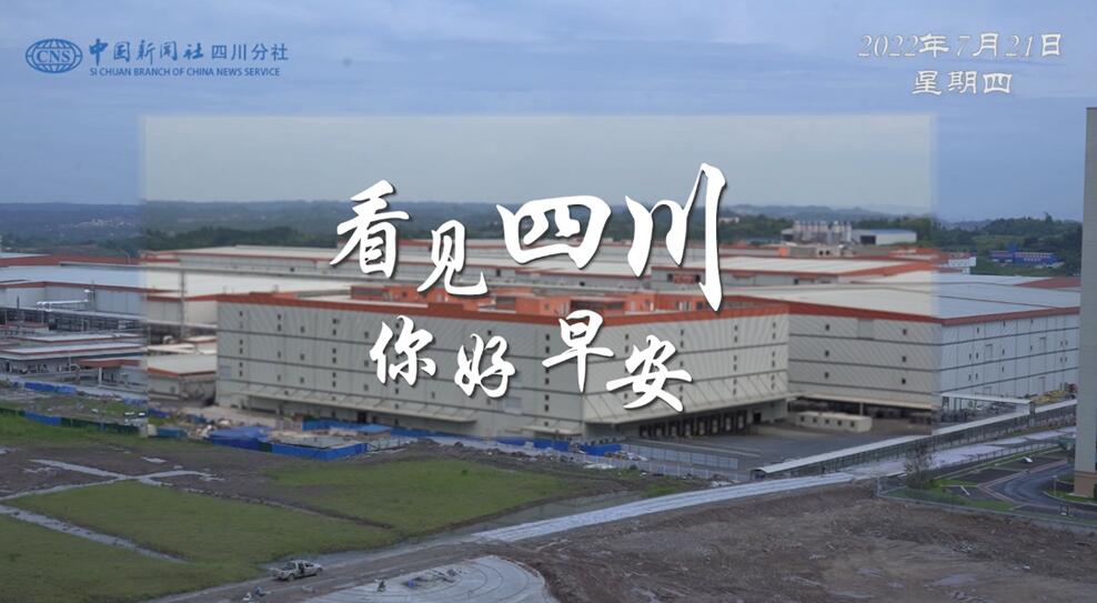 解说雅安市名山区的茶山迎来了最富生机