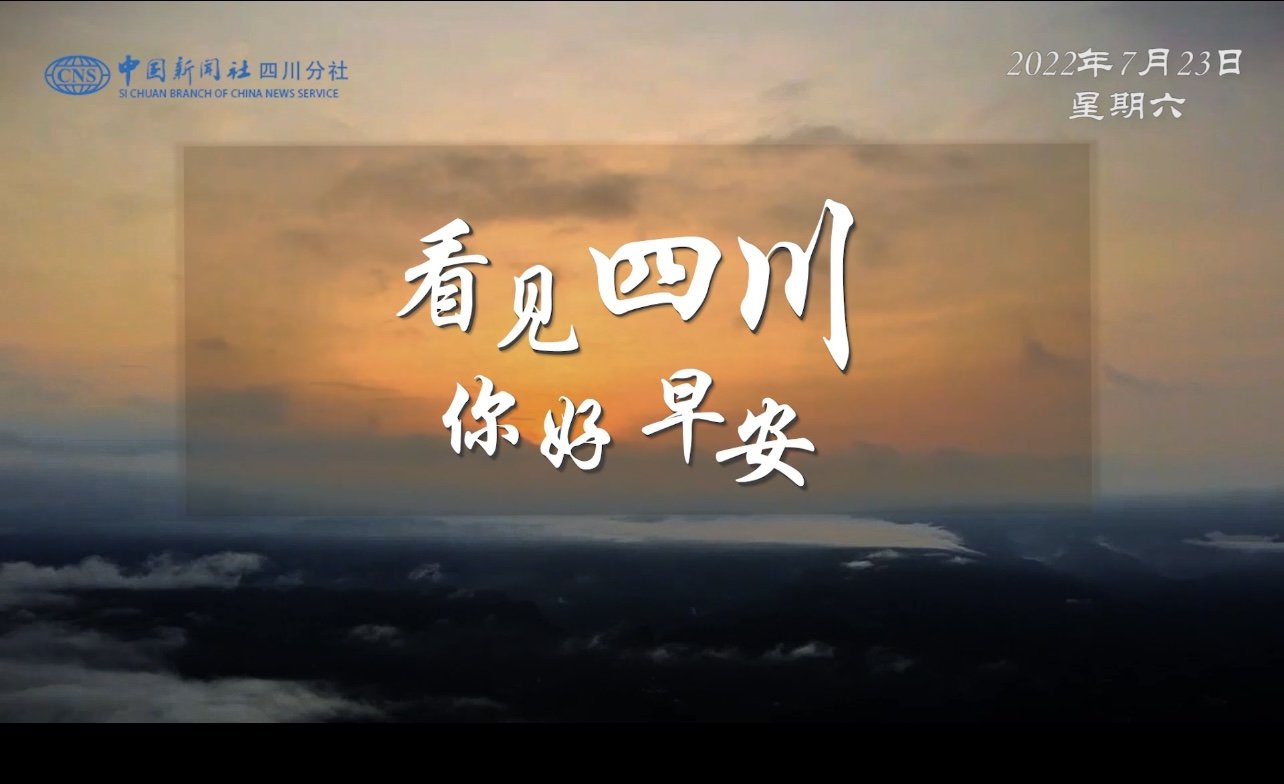 毛茸茸的