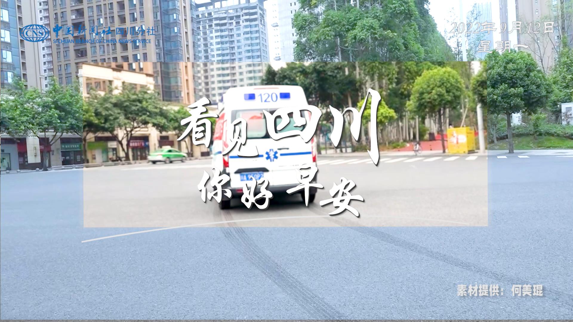 列车与盛放的油菜花构成一幅灵动的春日