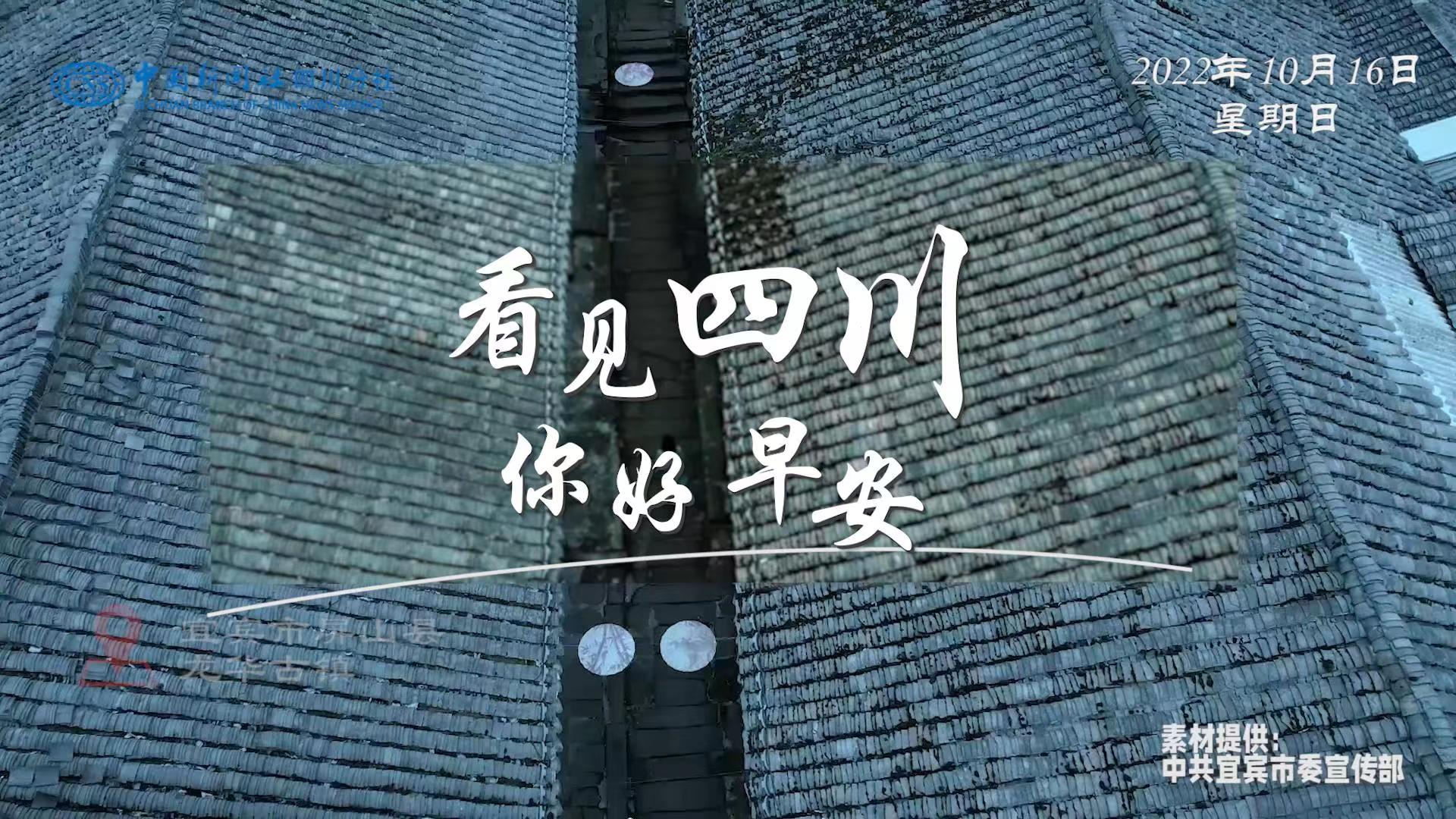 盈盈彩app下载限时优惠