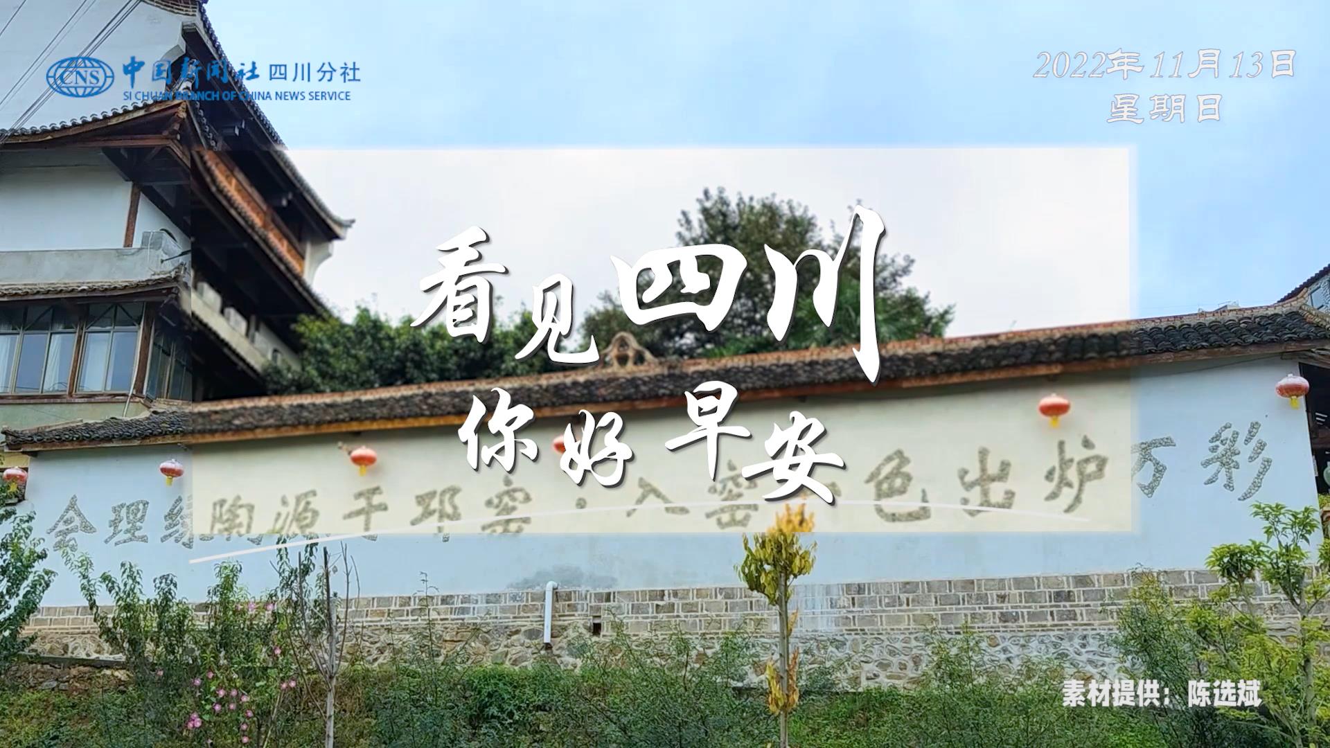 洁白的花朵缀满枝头