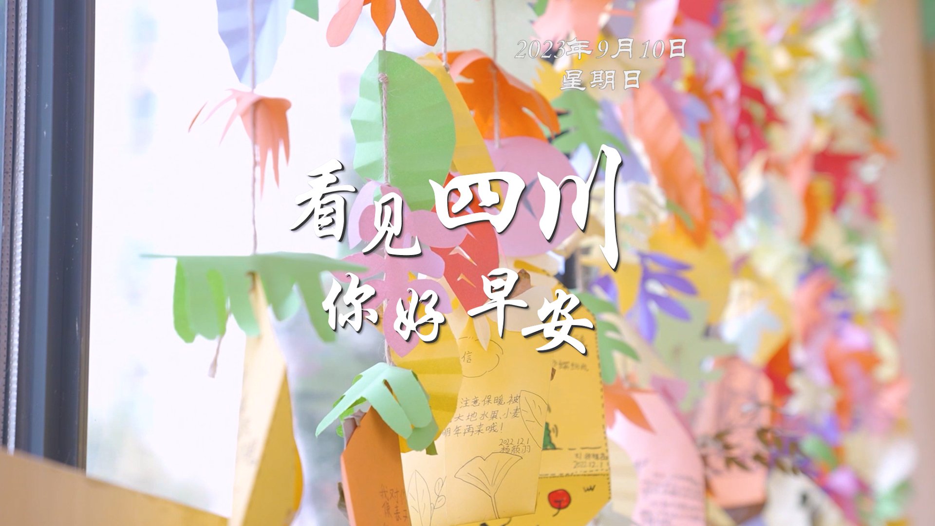 盈盈彩app官网