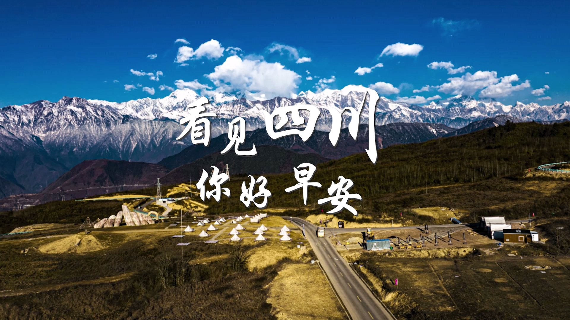 粉白花朵绽放在古寺院落