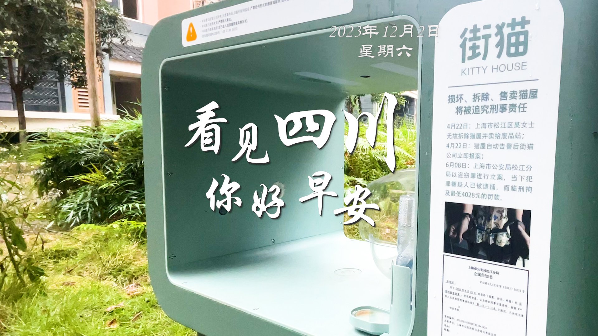 列车与盛放的油菜花构成一幅灵动的春日