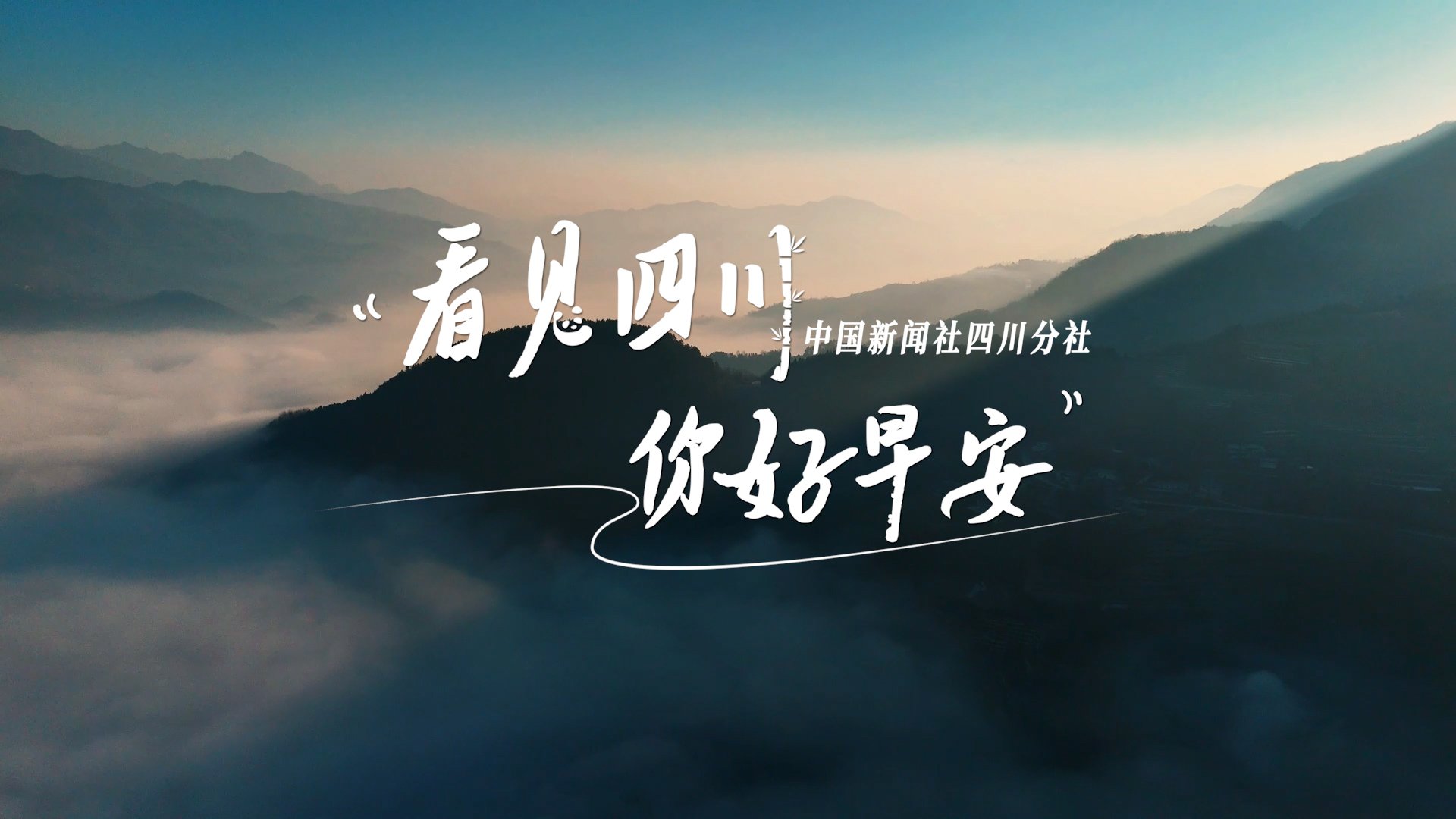雅安雨城区茶山上的茶树正冒新芽