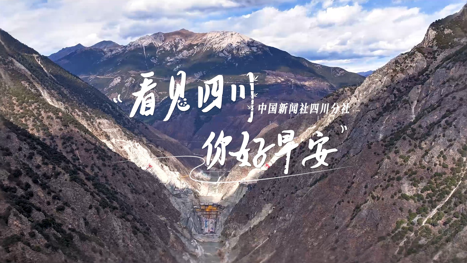 繁花缀满枝头
