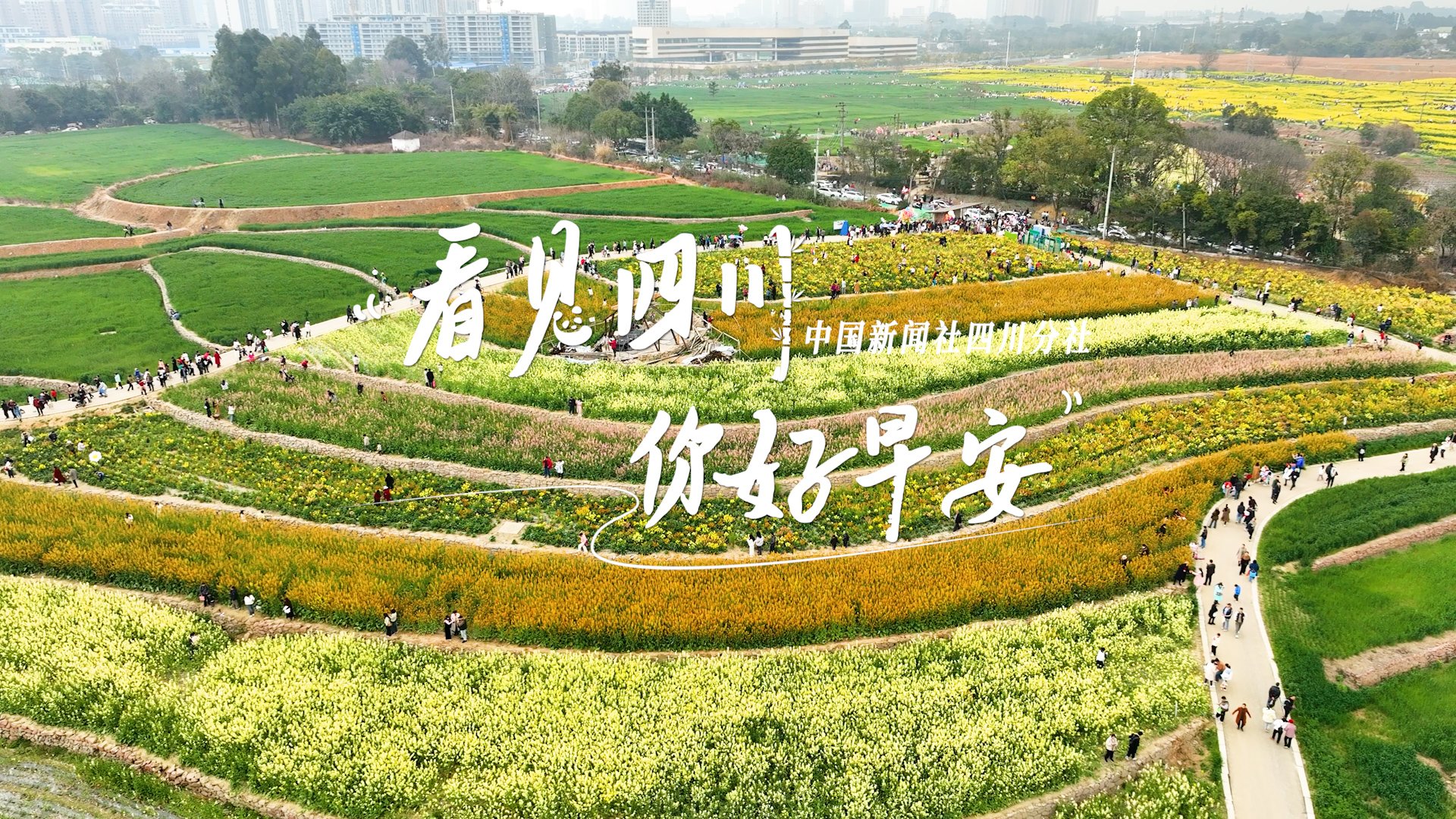 同题参见看见盈盈彩app下载限时优惠