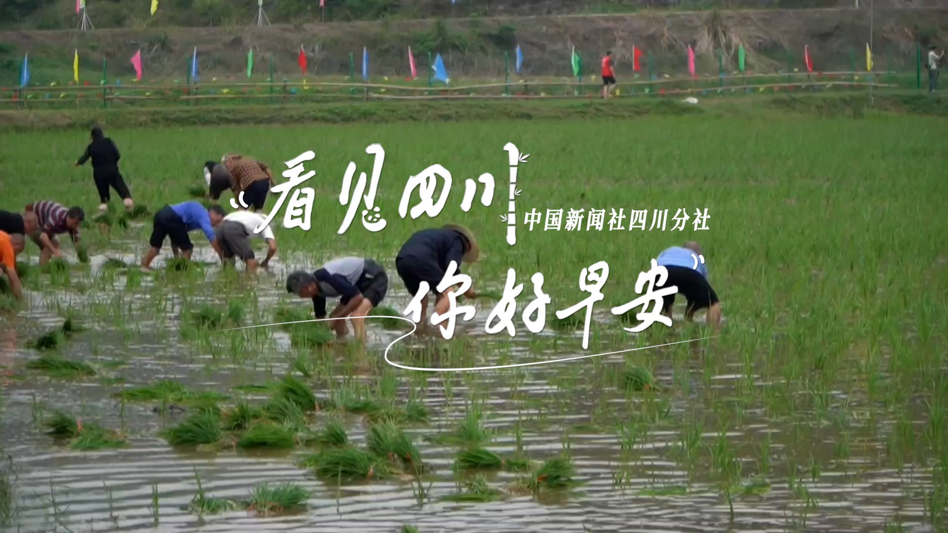 青石板路与古宅院落尽显温润春意