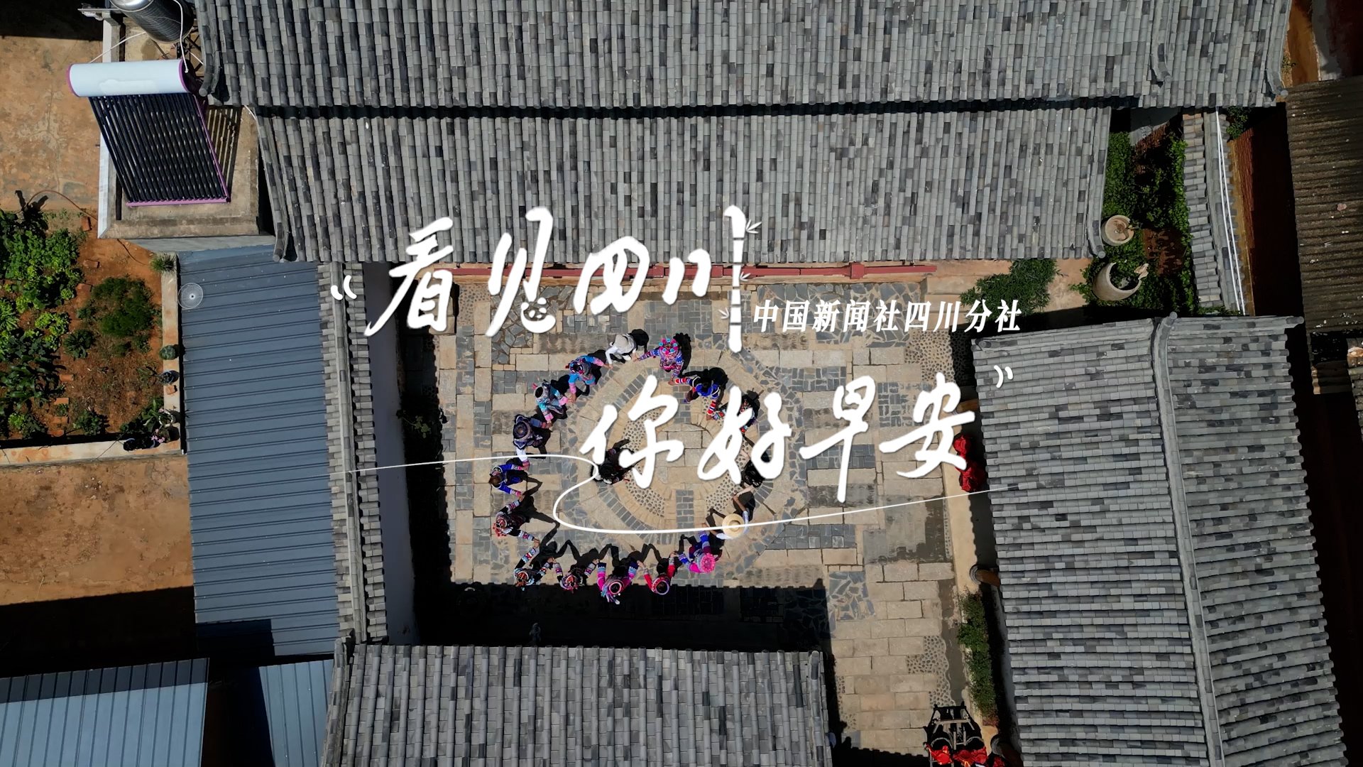 解说雅安市名山区的茶山迎来了最富生机