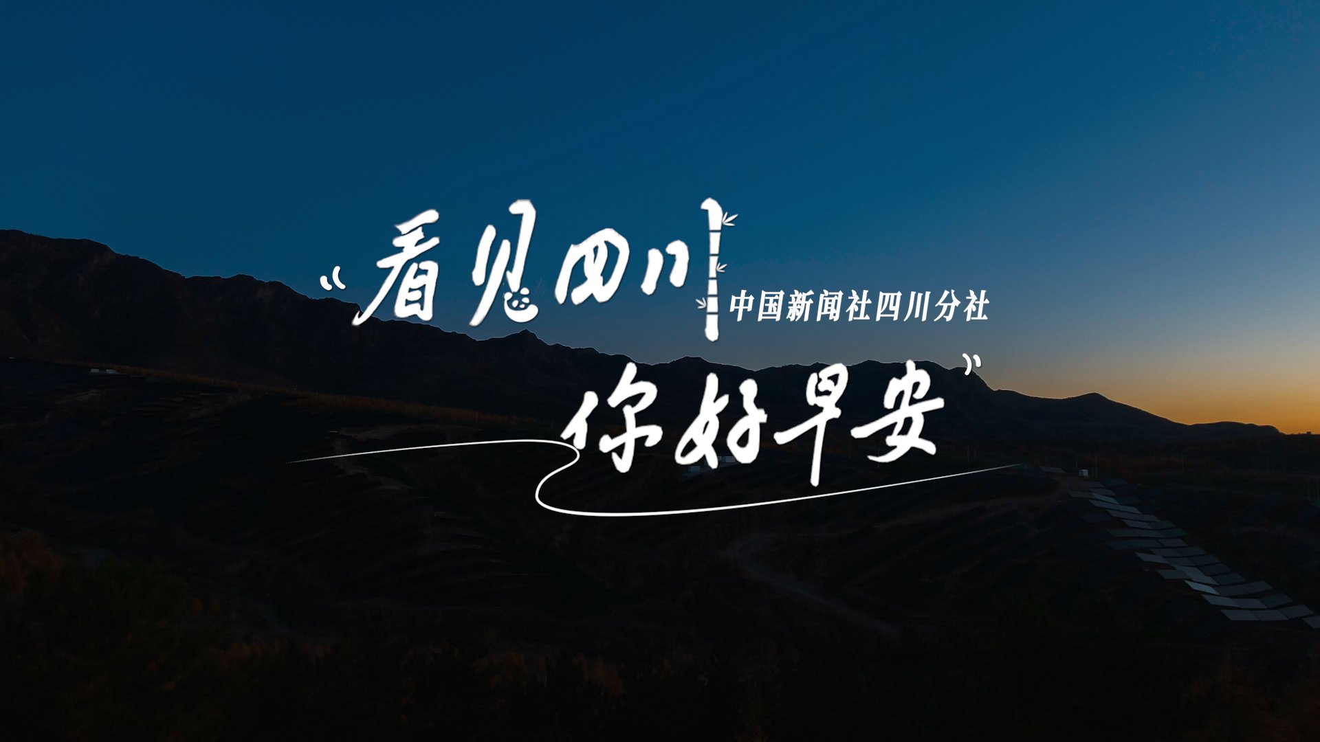 盈盈彩app官网