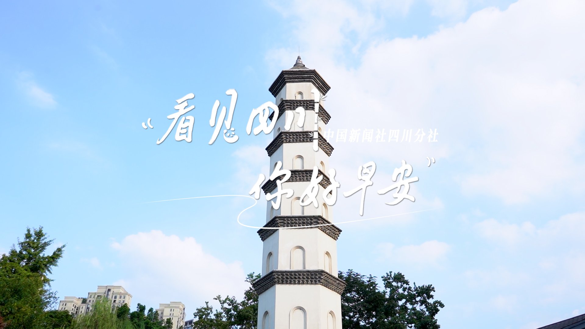 盈盈彩app官网