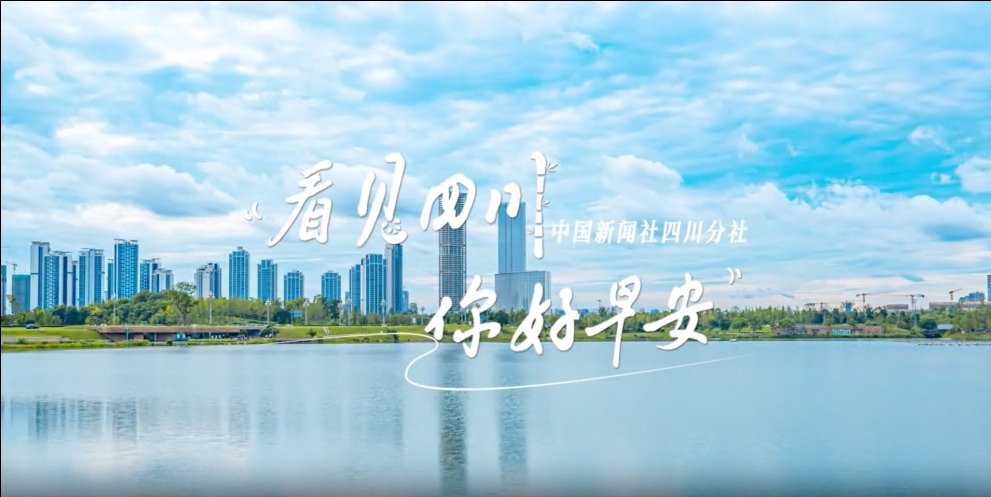 洁白的花朵缀满枝头