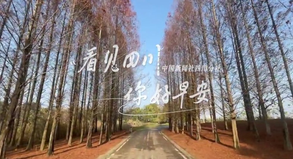 不少游客慕名前来乘坐和踏青赏花