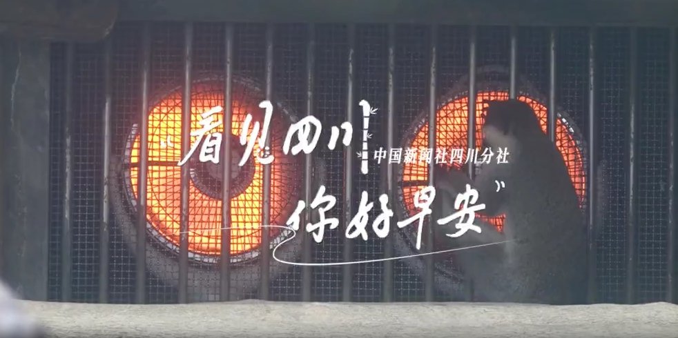 被誉为开往春天的嘉阳蒸汽小火车穿行在