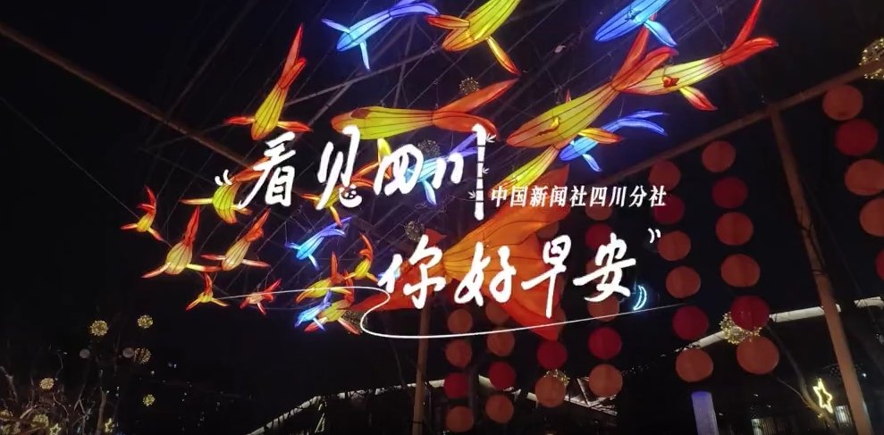 金山村温室大棚里黑褐饱满的羊肚菌破土