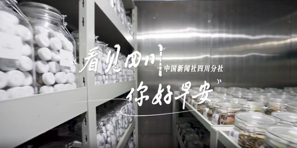 带你打卡位于眉山市彭山区的江口沉银博