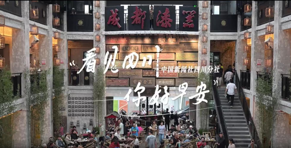 雅安雨城区茶山上的茶树正冒新芽