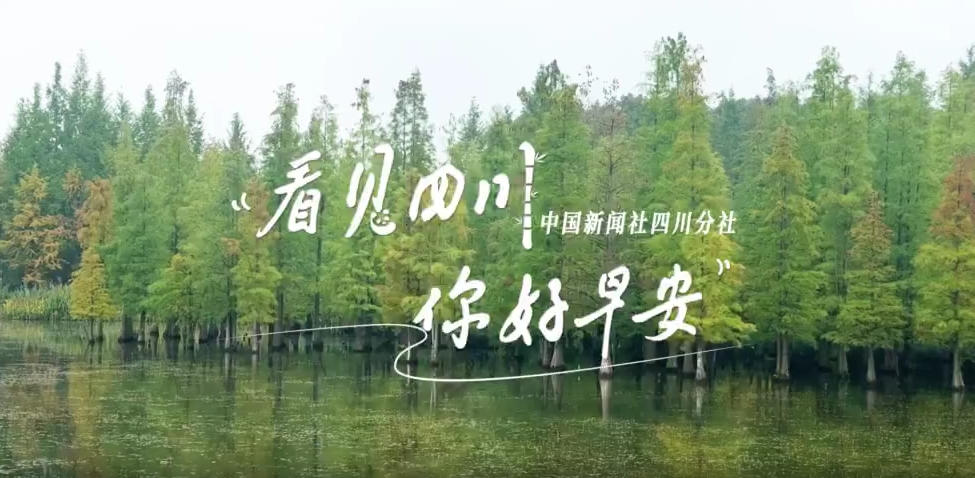 一串串花朵如风铃般相依相偎