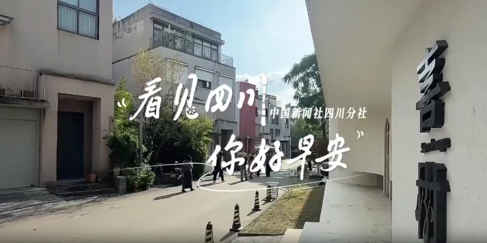 解说乐至县城市主干道的紫叶李花迎春绽