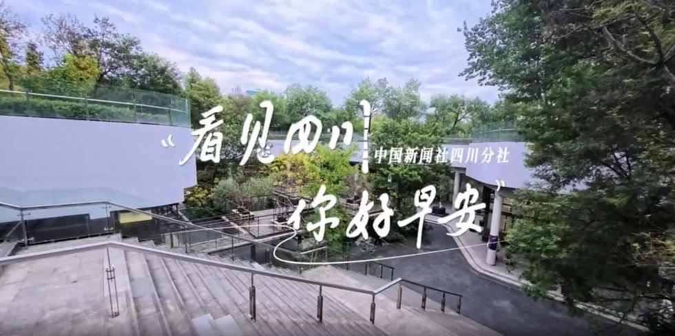 解说今天