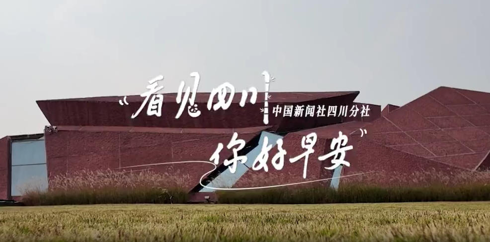 一芽一芽往外窜