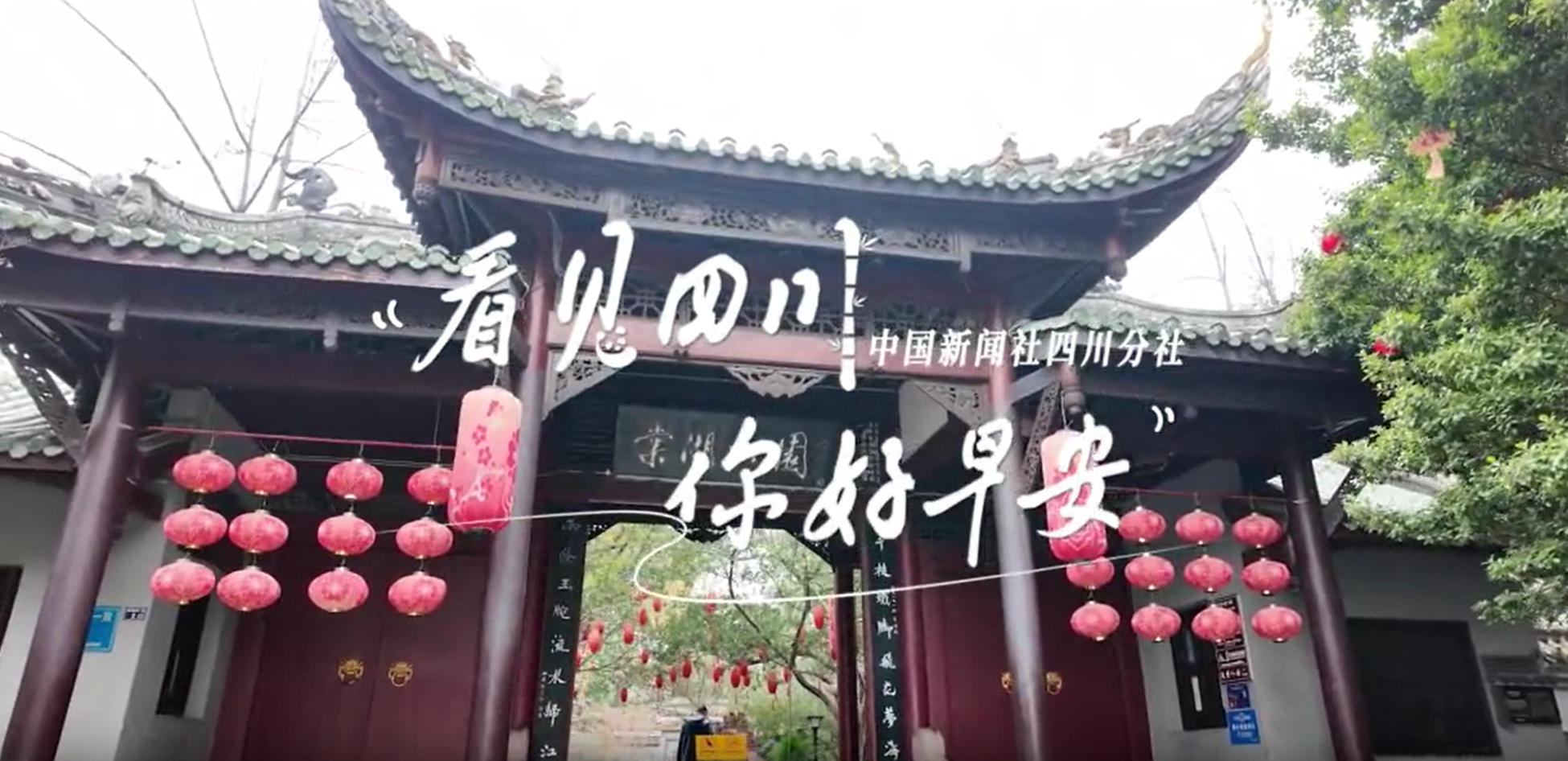 一串串花朵如风铃般相依相偎