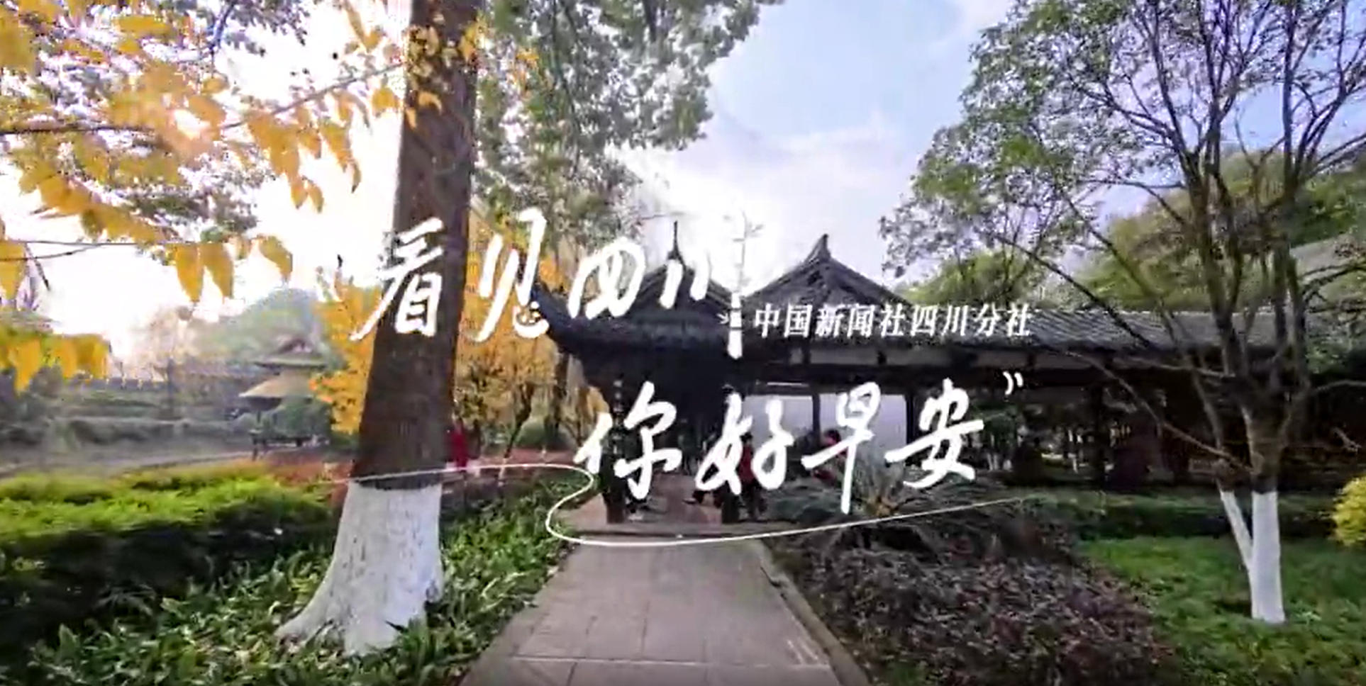 位于盈盈彩app下载限时优惠市红星桥
