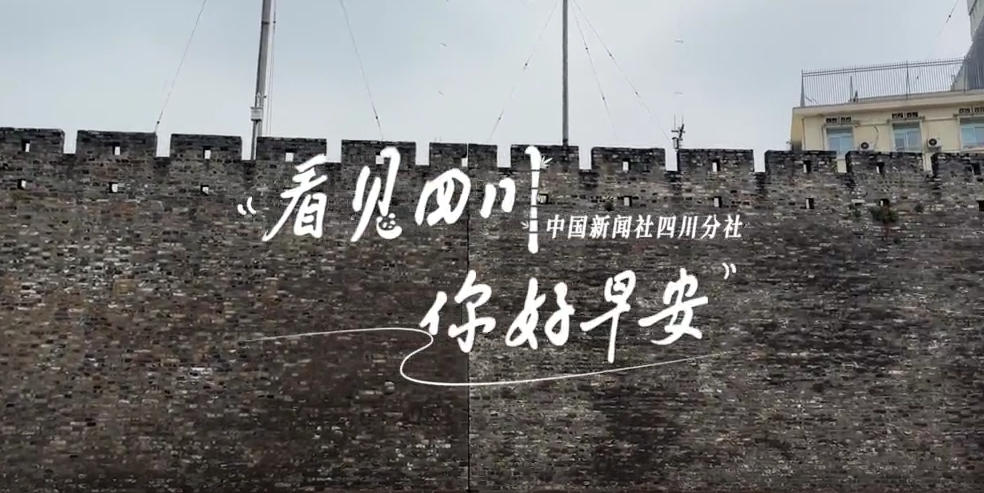 粉白花朵绽放在古寺院落