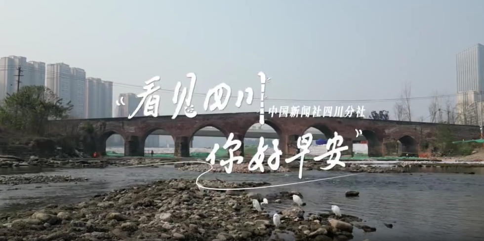 列车与盛放的油菜花构成一幅灵动的春日