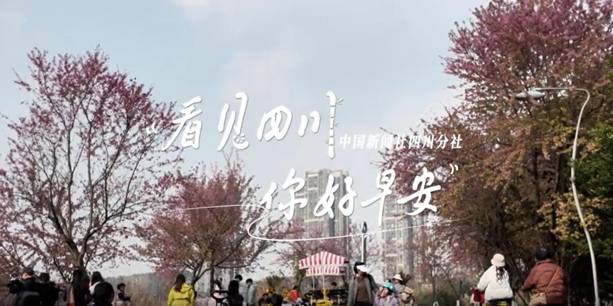 解说自贡灯会开启超长待机