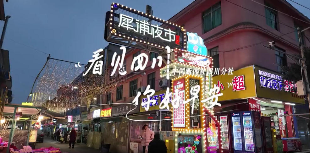 解说平武报恩寺百年玉兰迎来盛花期