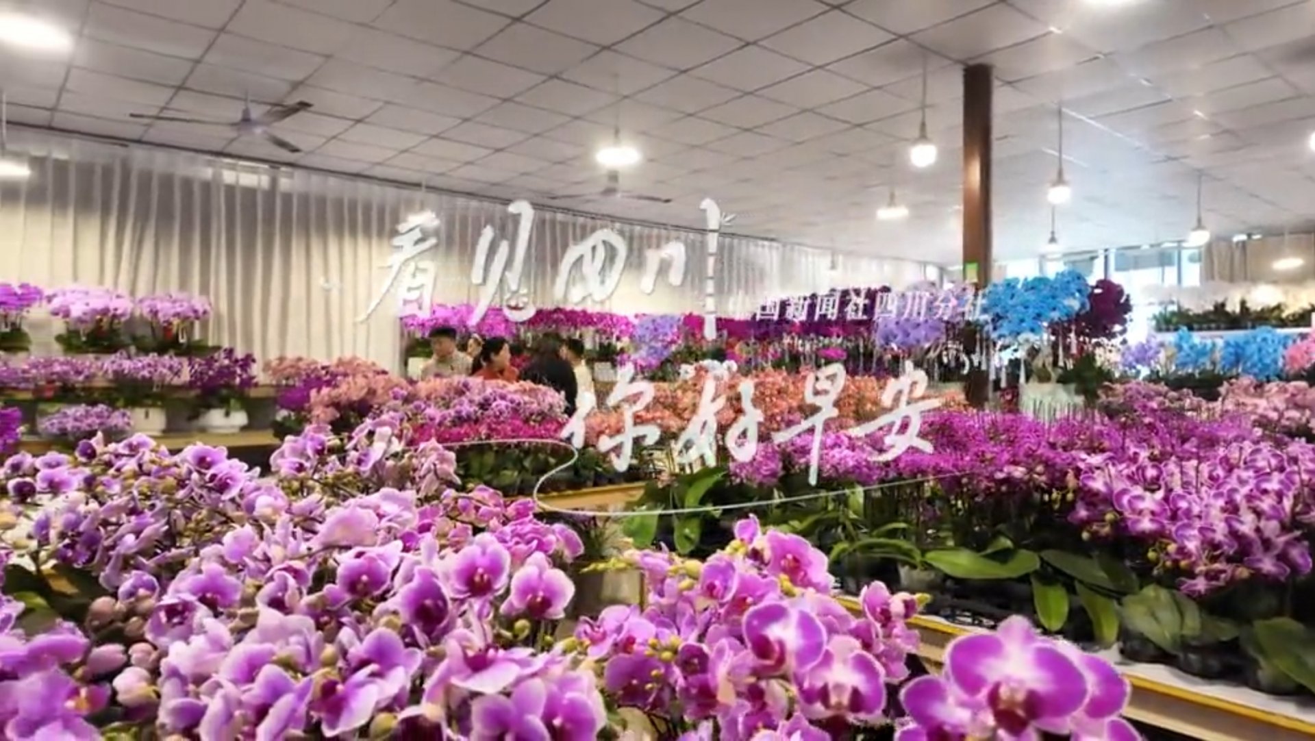 持续开放至第二季度