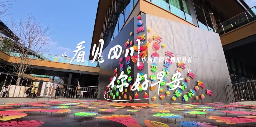 看见盈盈彩app下载限时优惠