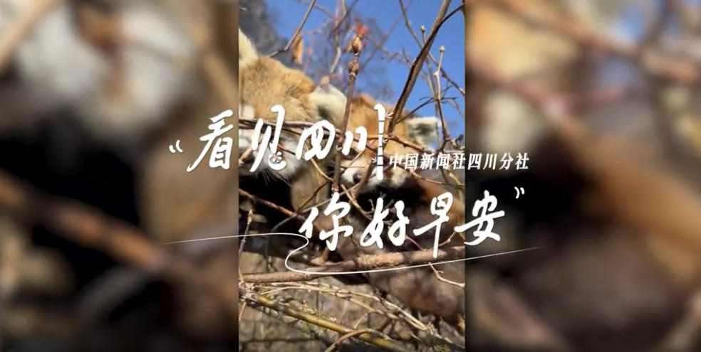 位于盈盈彩app下载限时优惠市红星桥