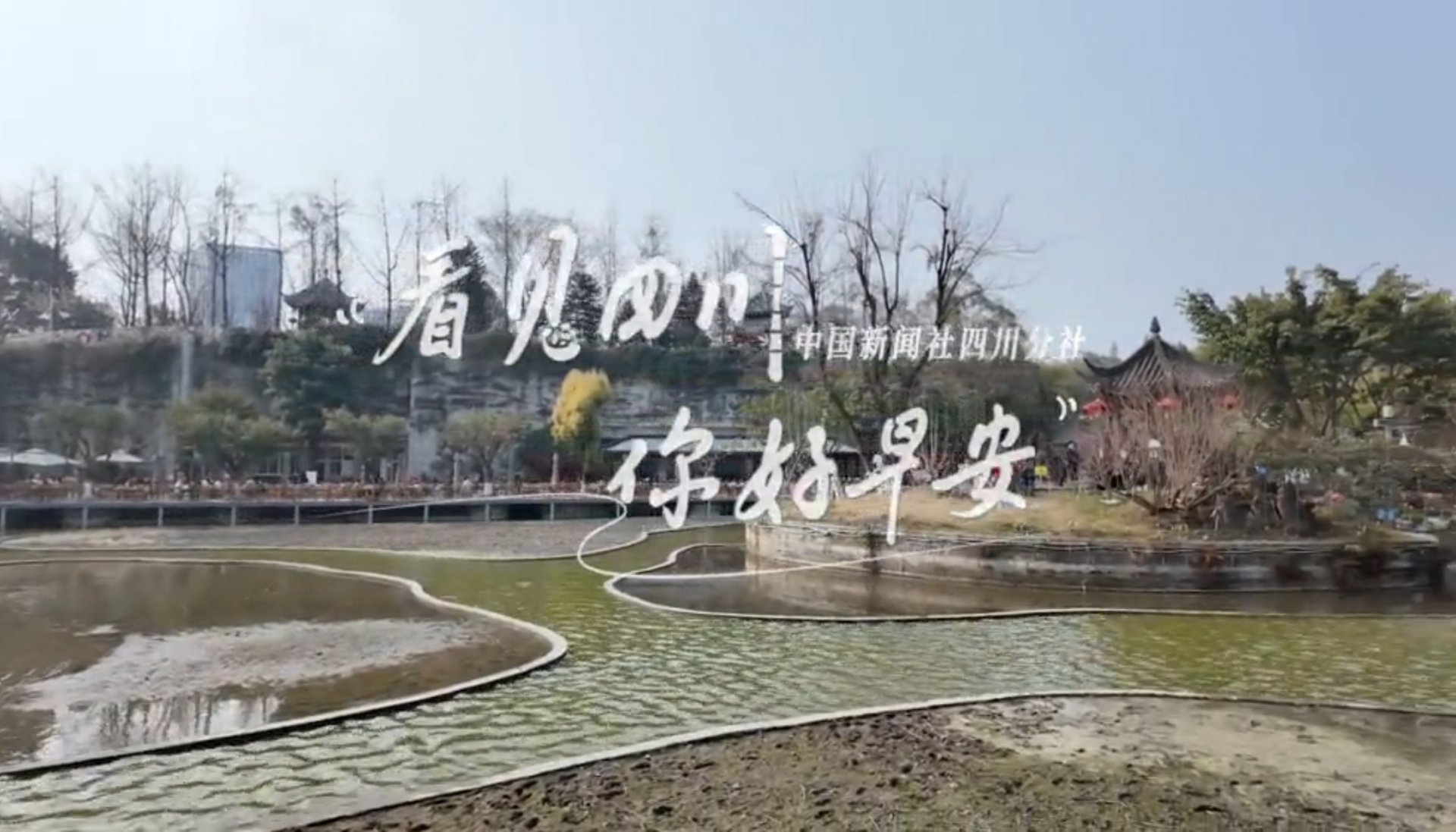 解说春日暖意渐浓