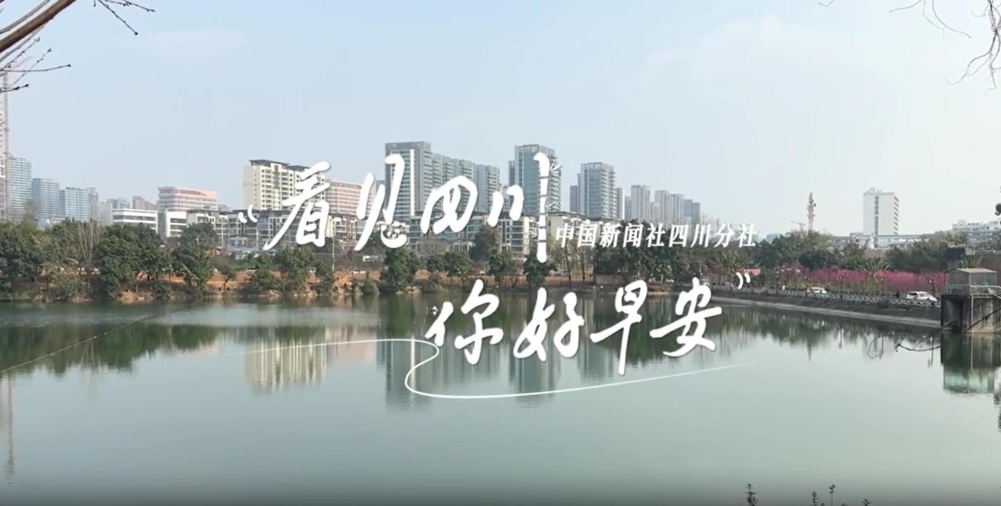 粉白花朵绽放在古寺院落