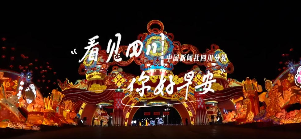 高大的泡桐树缀满钟形花冠