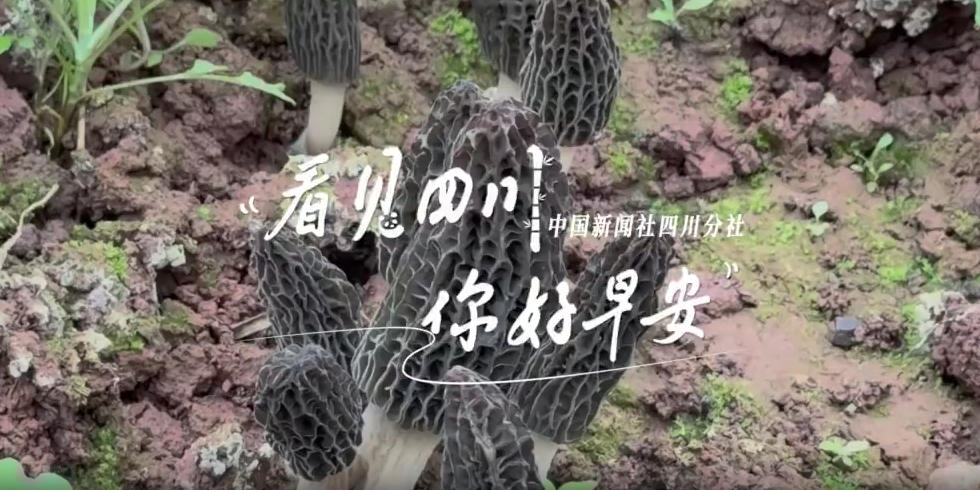 同题参见看见盈盈彩app下载限时优惠