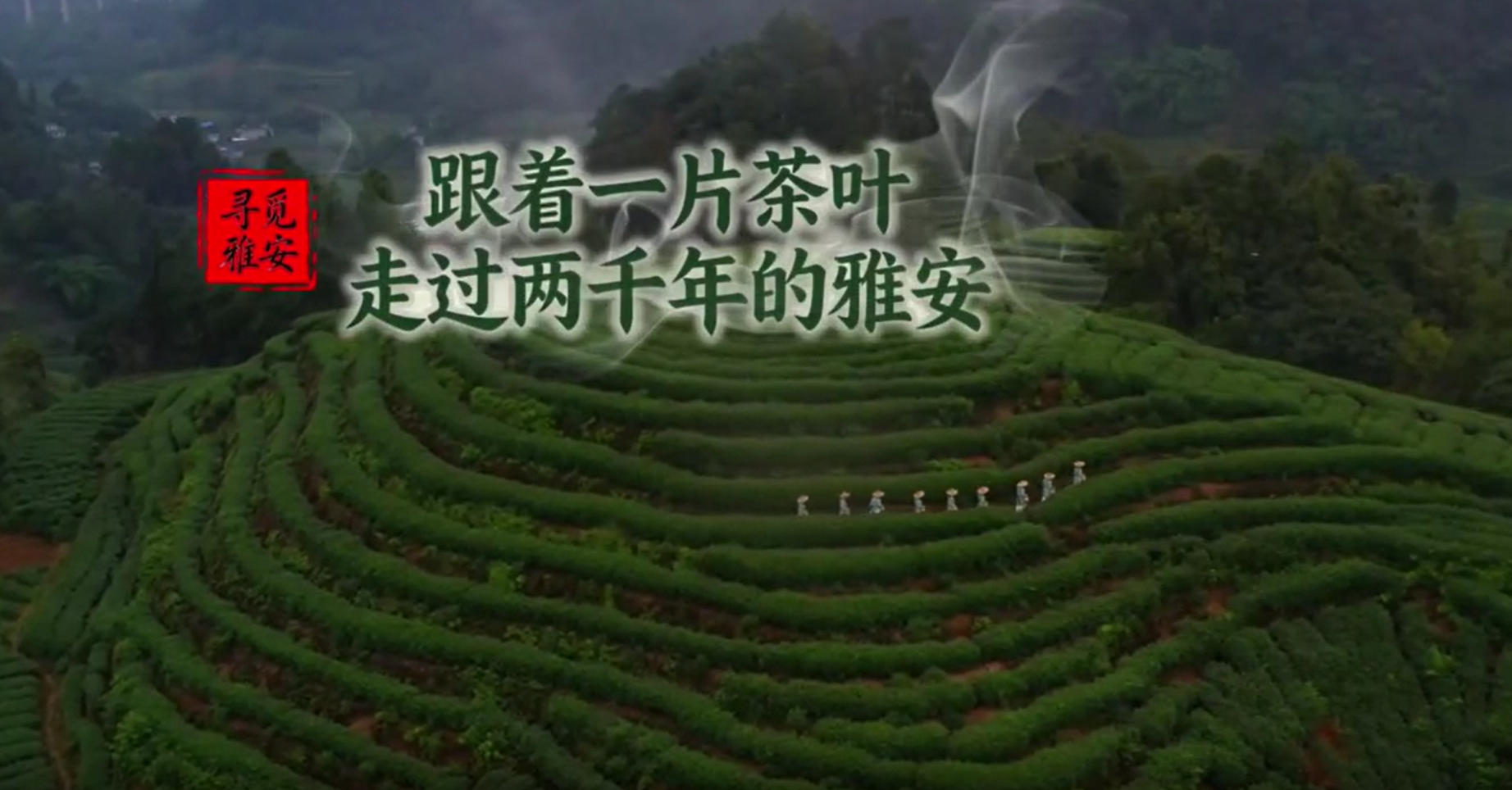 活动现场