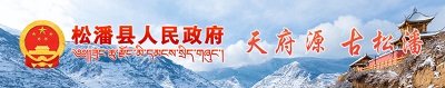 盈盈彩app下载官方网站入口说明